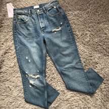 The Billy Authentic Rigid High Rise Skinny Jean 29