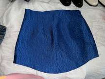 High Waisted Mini Skirt