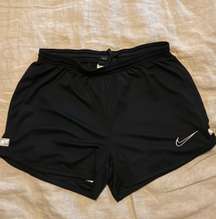 Dri-Fit Shorts