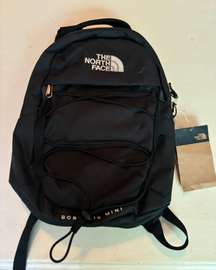 North Face Computer Bag