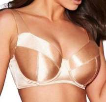 Frederick's of Hollywood Va Va Voom Satin Full Figure Push Up Bra Size 42DD