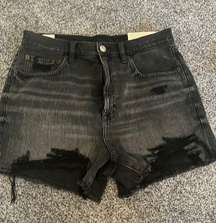 Outfitters Shorts