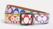 NWT  Roller Buckle Cut To Size Reversible Belt In Rainbow Signature Canvas