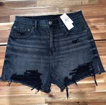 NWT American Eagle Stretch Highest Rise 90’s Boyfriend Shorts Size 2