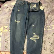 Brand new Alter’d State Jeans . Straight leg 27