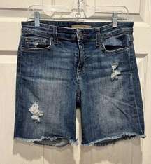 Joe's Jeans Destroyed Cutoff 5-Pocket Denim Shorts in Allura Women's 29