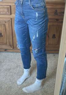 Arizona Vintage Mom Jeans