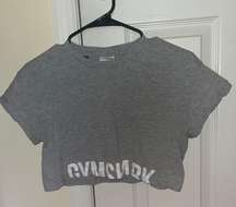 Fraction Crop Top