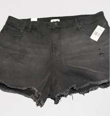 Good Curve Denim Frayed Hem 5 Pocket Shorts in Black 089 Sz 18