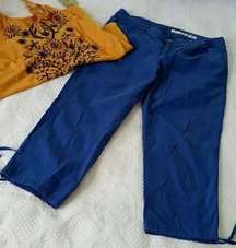 3/$15 DKNY‎ Jeans Royal Blue Crop Pants size 10