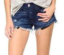 Denim Jean Shorts size 6 28 Distressed Cut off Ripped Mid Rise Blue NWT