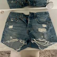 501 Shorts