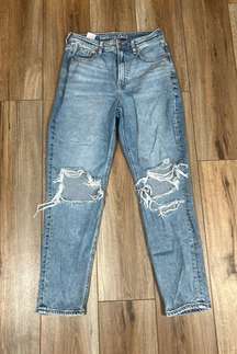 Outfitters Mom Jean