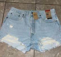 501 Shorts