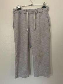 LULULEMON Gray Striped Lightweight Nylon Stretch High Rise Crop Studio Pants 6