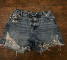 Outfitters Blue Jean Shorts