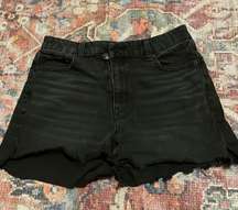 Outfitters A.E Denim Shorts