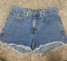 Vintage  Denim Shorts