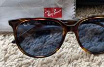 Erika Style Raybans