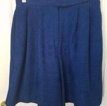 Darlin Designs  Bermuda Shorts Blue Micro Suede Size 12