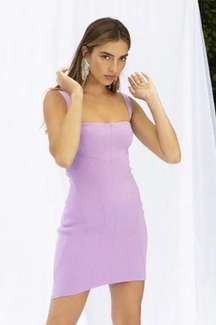 Nessie Mini Dress in Lilac NWT