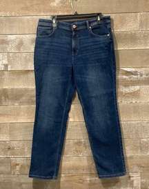 J.Jill high Rise straight leg jean 14 petite