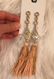 Tassel Long Earrings.