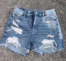 Outfitters Mom Shorts
