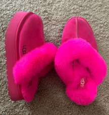 Pink Slippers