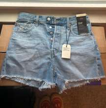 Ribcage Denim Shorts