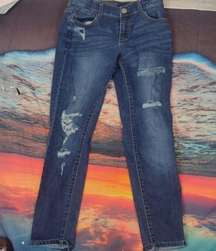 Harper skinny distressed jeans size 28