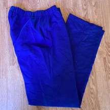 QUACKER Factory Royal Blue Elastic Waist Pants Size XS