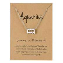 🆕Aquarius Zodiac Astrology Pendant Necklace