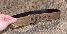 Coach Belt