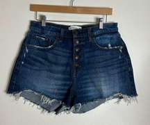 Abercrombie & fitch high rise fly button mom shorts curve love size 30