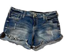 Womens Silver Berkley Jean Shorts -Cutoff Distressed-  Size: W30 L4