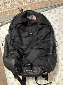 Borealis Backpack