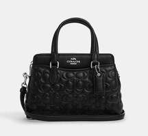 Mini Darcie Carryall Bag