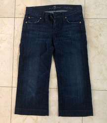 7 For All Mankind Crop Dojo Jeans Sz 24 NWOT