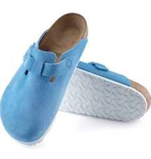 Blue  Clogs