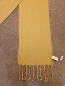 Gap Wool Fringe Tan Long Winter Scarf, NWT