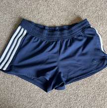 Exercise Shorts