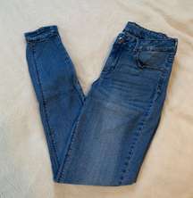 Medium Wash Skinny Jeans