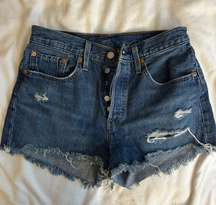 501 Shorts