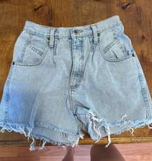 Vintage Denim Shorts