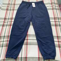 AYBL New Navy Blue Sweatpants XL
