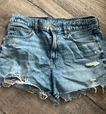 Outfitters Shorts