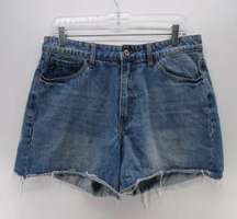 High Rise Shorts Size 13/30