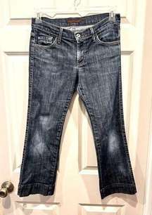 James Jeans Dry Aged Denim Dry Aged By Sean Kick Crops size 27