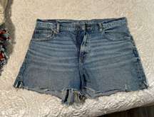 Outfitters Jean Shorts